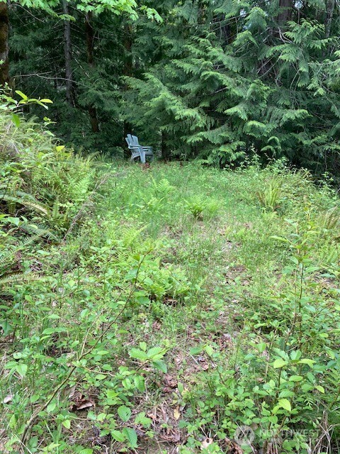 246 N Lakeshore Place , Hoodsport, WA 98548