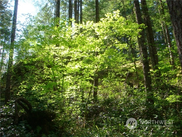 16 WS1 Blk 3 Lot 16B , Hoodsport, WA 98548