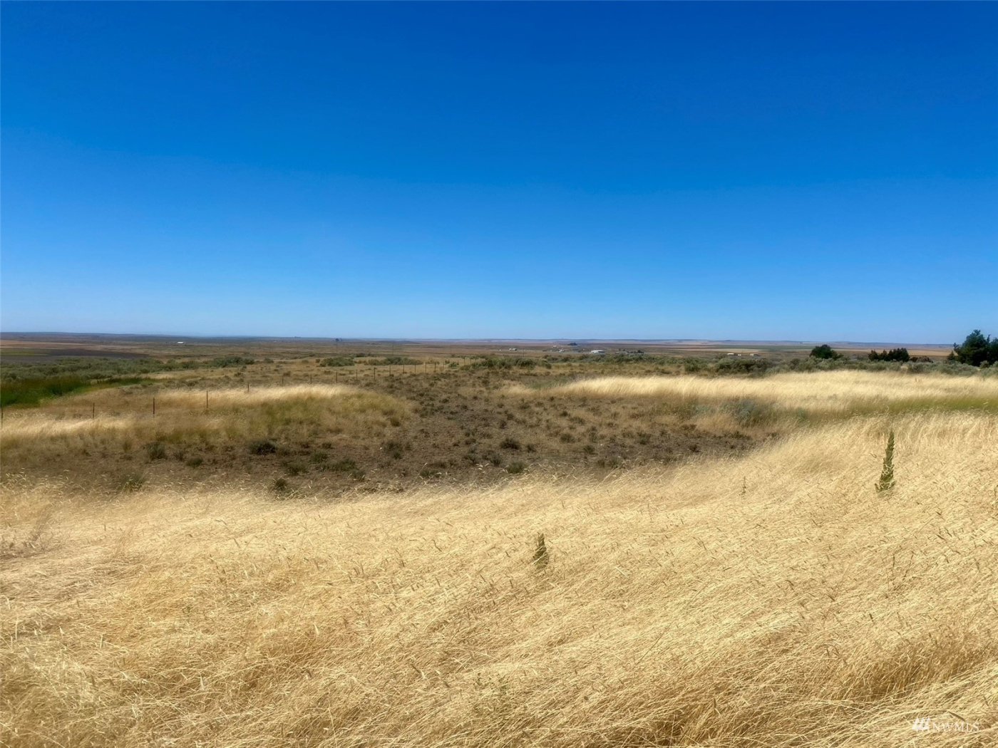 0 SW Trinity Avenue , Wilbur, WA 99185