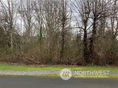 0 17th Avenue SW, Seattle, WA 98106