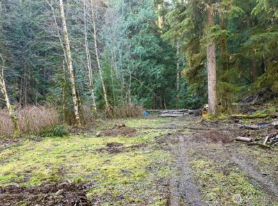 34750 S Shore Drive , Mount Vernon, WA 98274 - Photo 14