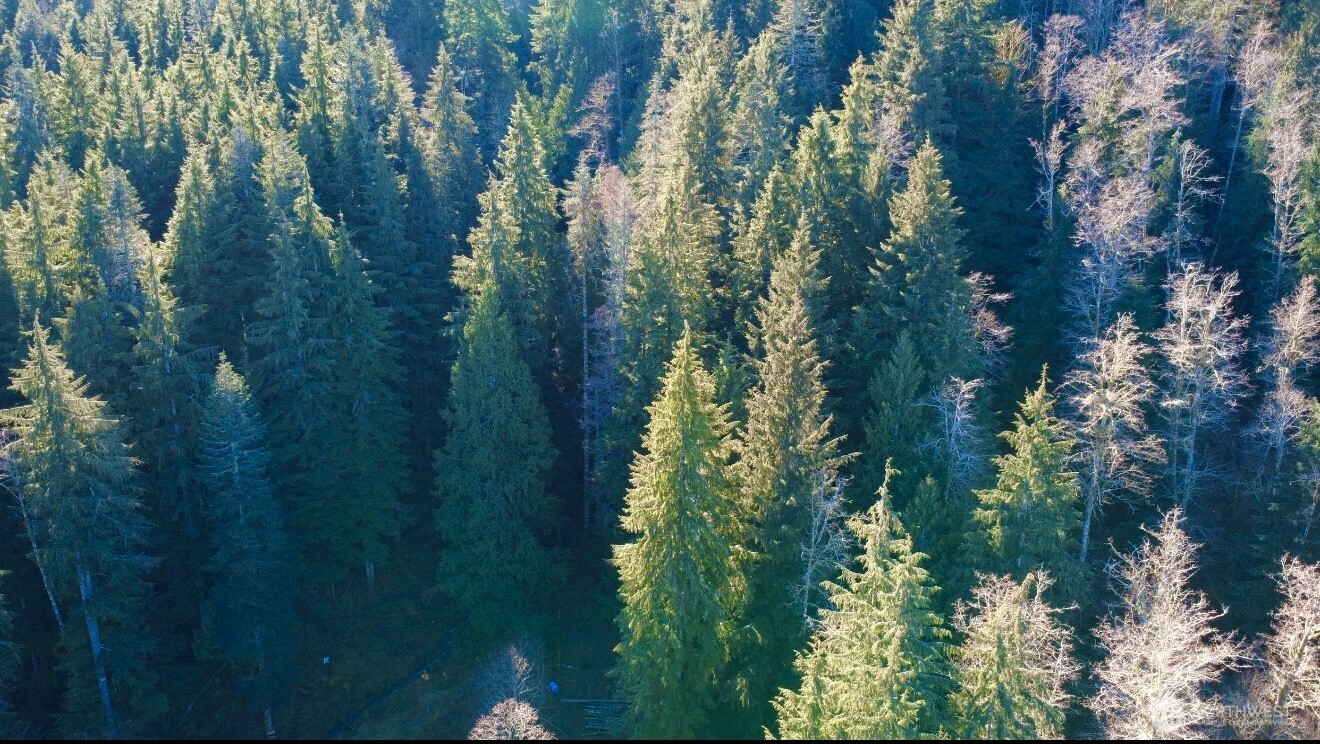 34750 S Shore Drive , Mount Vernon, WA 98274