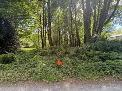 0 Cape Horn Drive , Concrete, WA 98237 - Photo 2