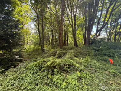 0 Cape Horn Drive , Concrete, WA 98237 - Photo 3