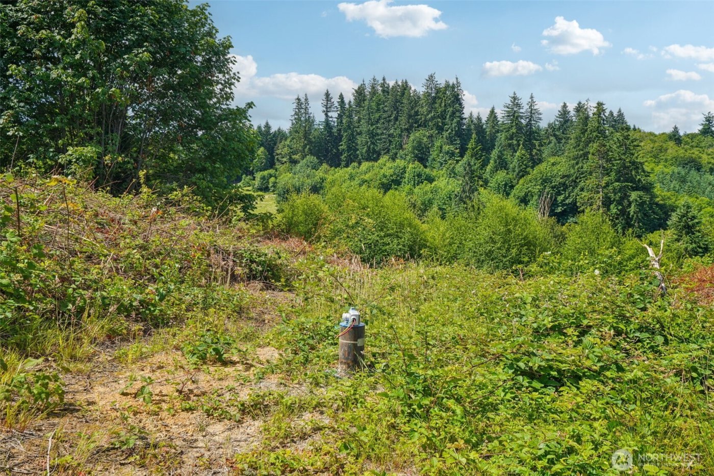 1830 Hazel Dell Road #Lot 4, Castle Rock, WA 98611