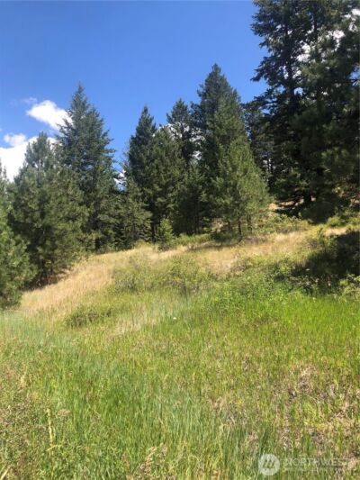 22 Pine Chee Road , Oroville, WA 98844 - Photo 2