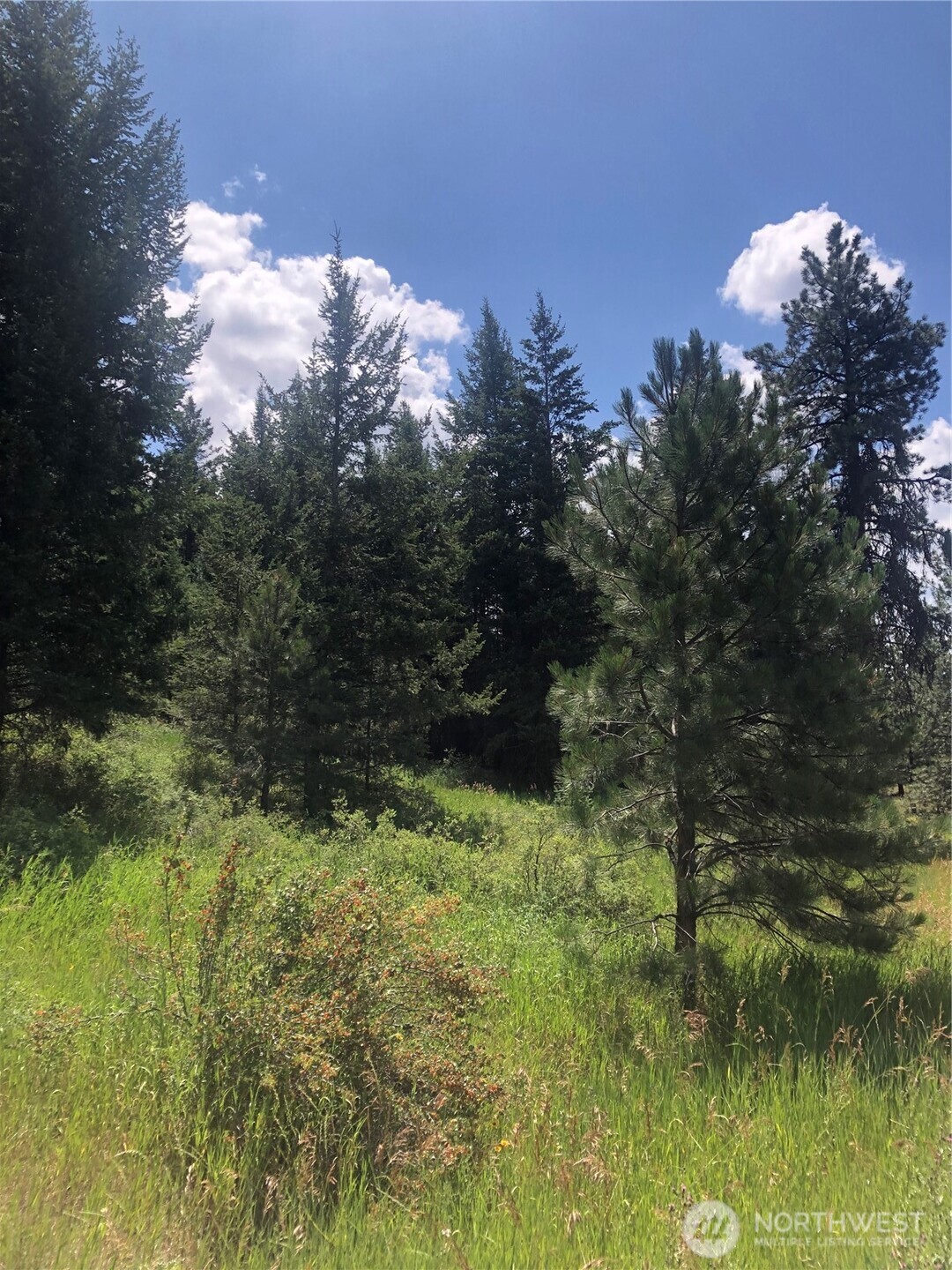 22 Pine Chee Road , Oroville, WA 98844