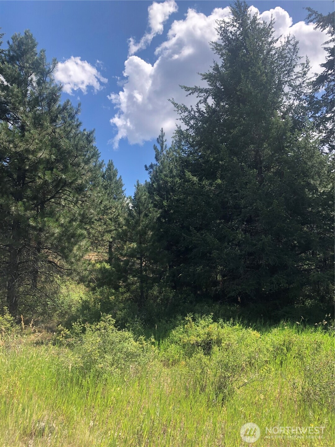 22 Pine Chee Road , Oroville, WA 98844