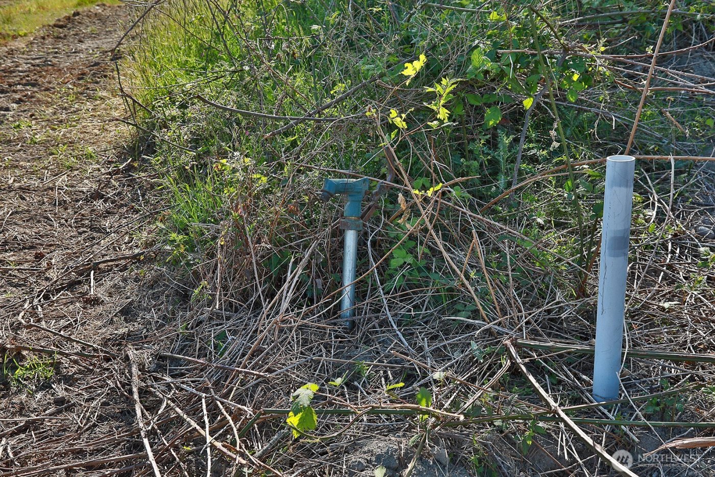 0 Woodland Lane , Freeland, WA 98249