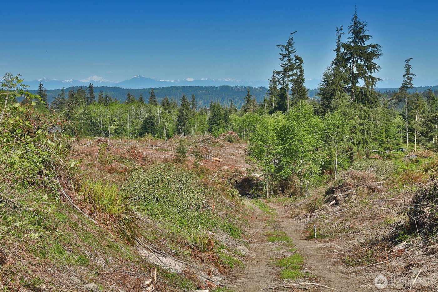 0 Woodland Lane , Freeland, WA 98249