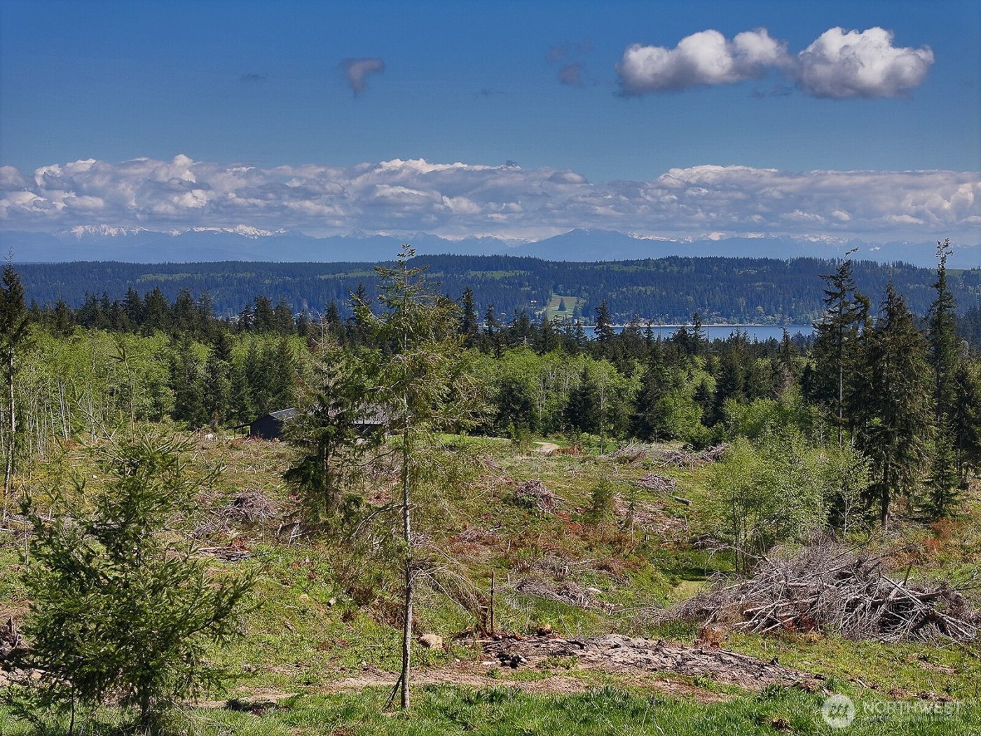 0 Woodland Lane , Freeland, WA 98249