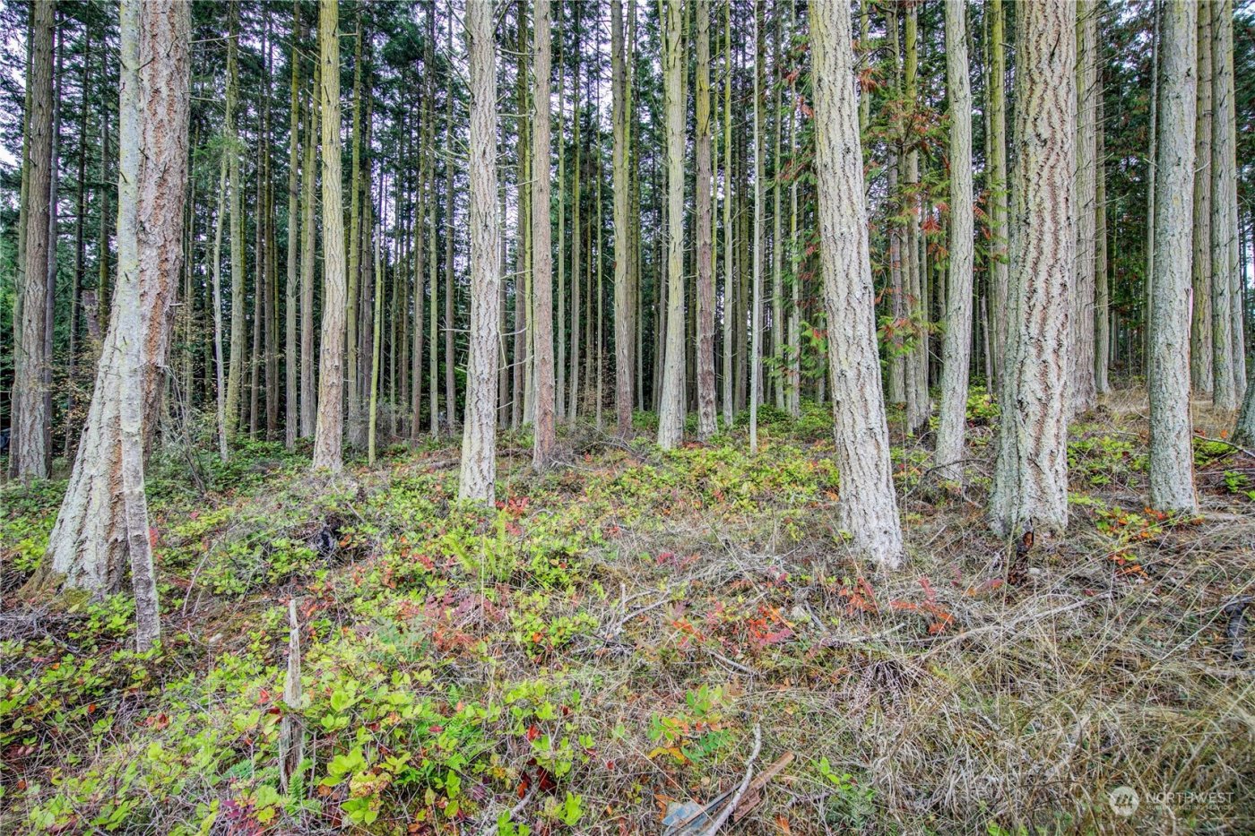 0 53XX Sheridan Street , Port Townsend, WA 98368