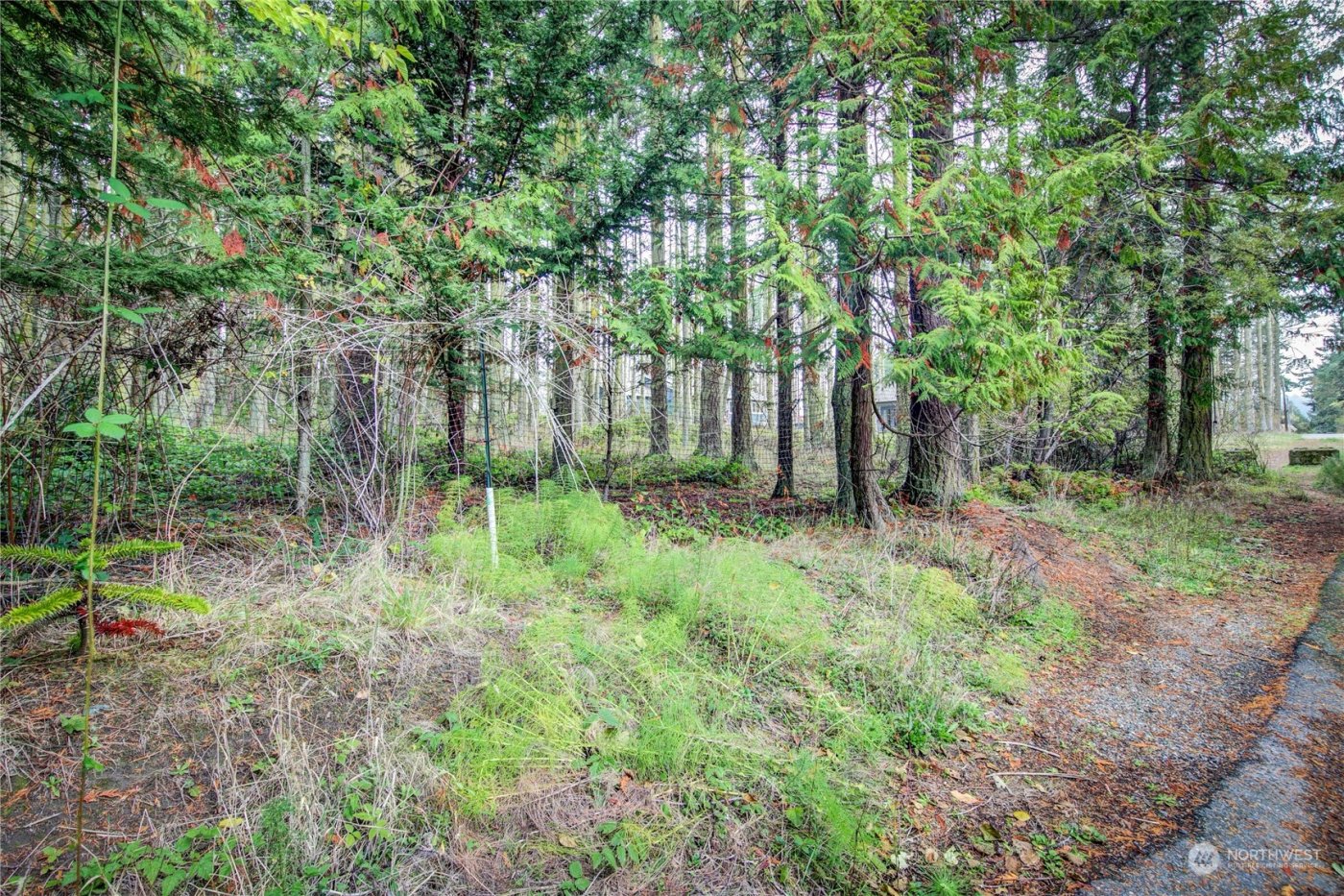 0 53XX Sheridan Street , Port Townsend, WA 98368