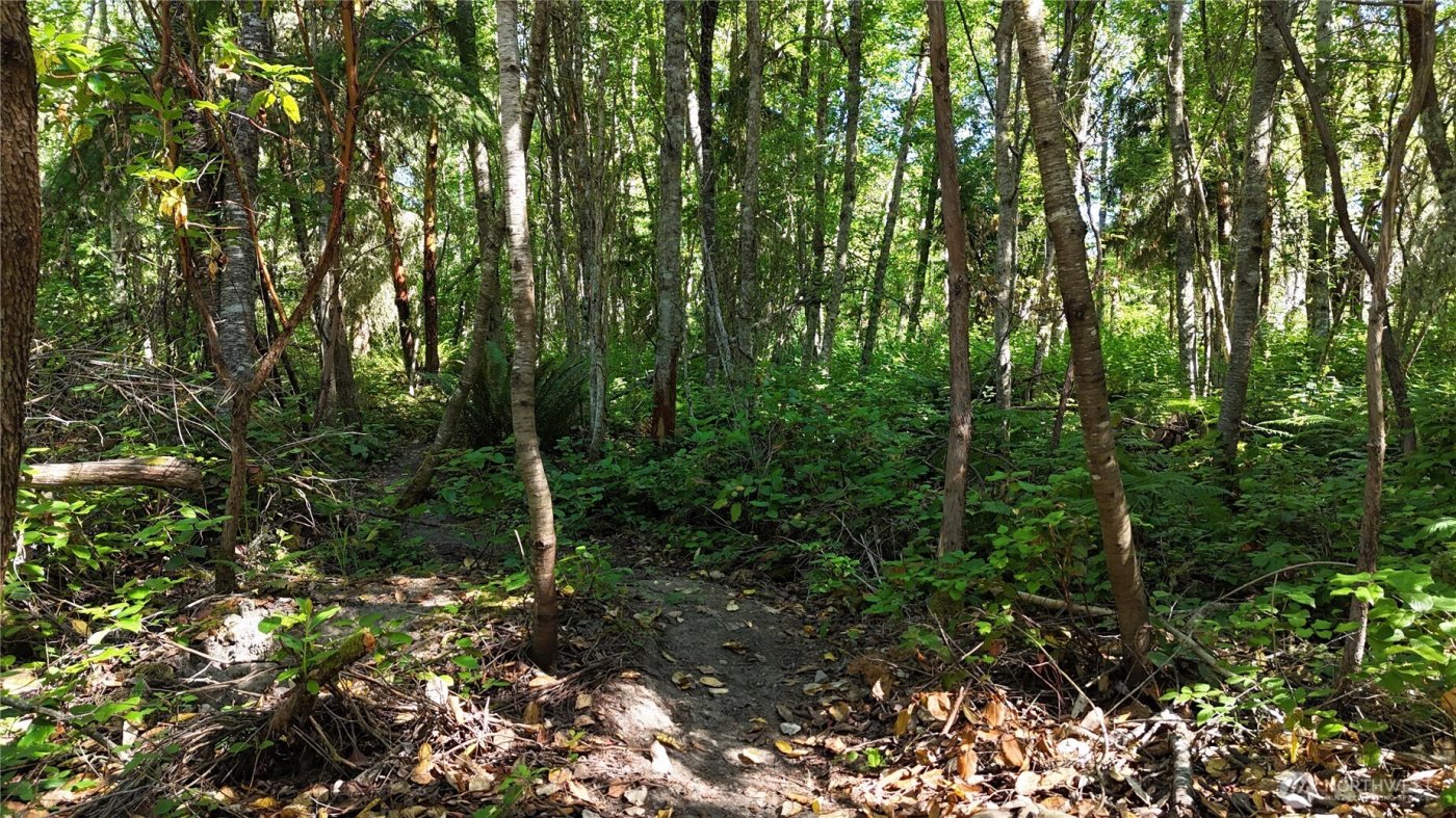 0 Woodland Drive , Port Townsend, WA 98368