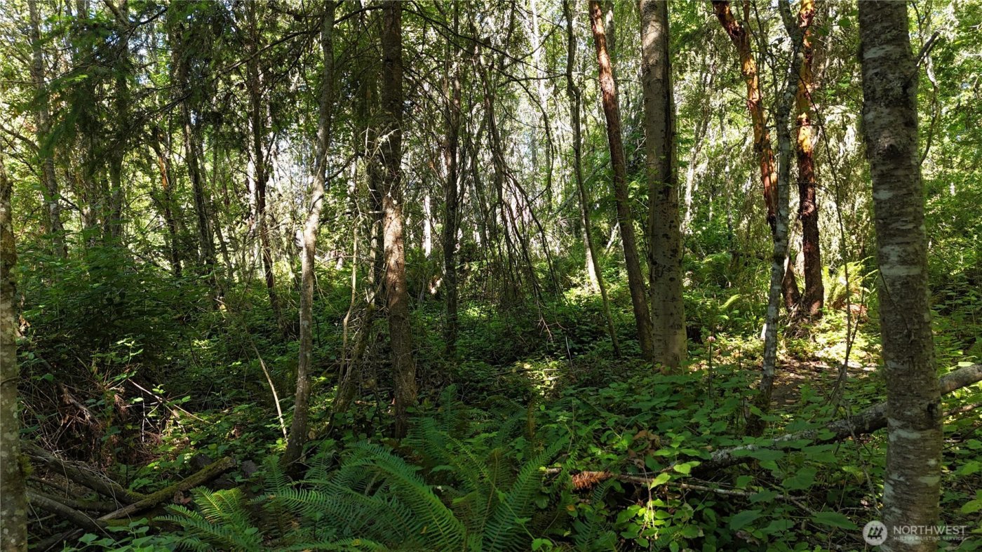 0 Woodland Drive , Port Townsend, WA 98368