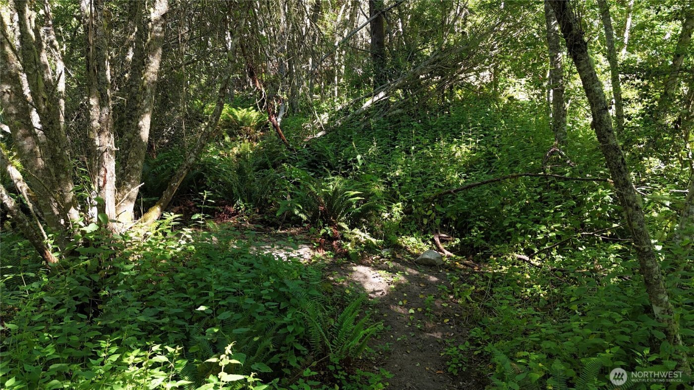 0 Woodland Drive , Port Townsend, WA 98368