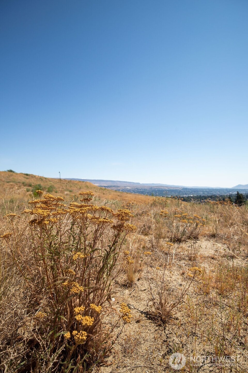 0 Lot 7 Ridgefield Way , Wenatchee, WA 98801