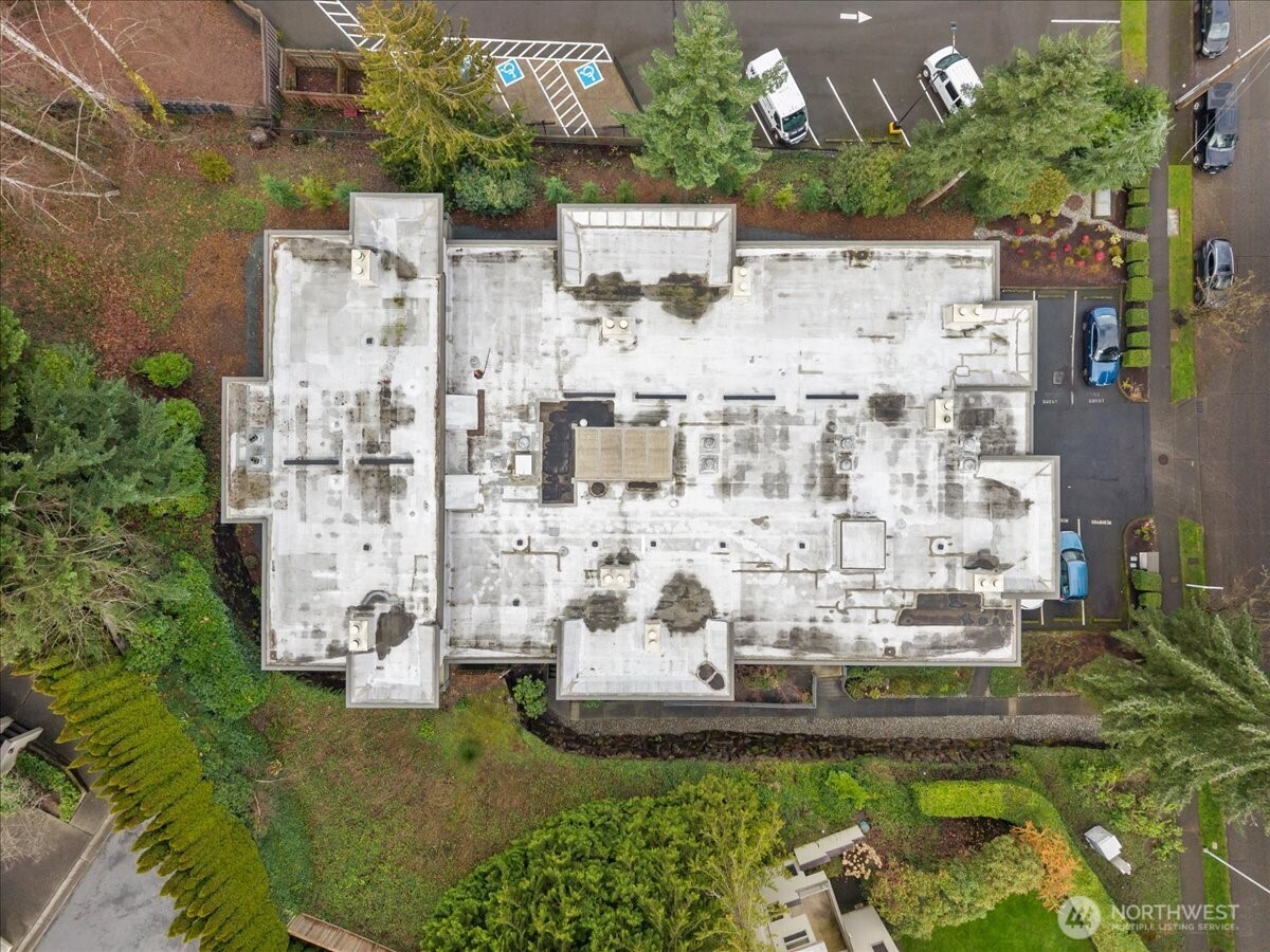 5225 50th Avenue NE #206, Seattle, WA 98105