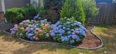 9131 Thea Rose Drive SE, Yelm, WA 98597 - Photo 2