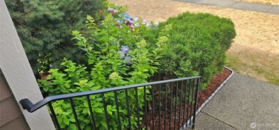 9131 Thea Rose Drive SE, Yelm, WA 98597 - Photo 34