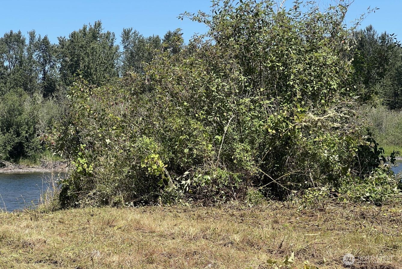 0 Evans Road , Toledo, WA 98591