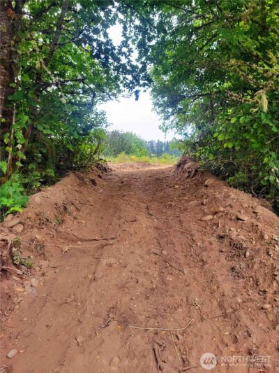 0 Evans Road , Toledo, WA 98591 - Photo 4