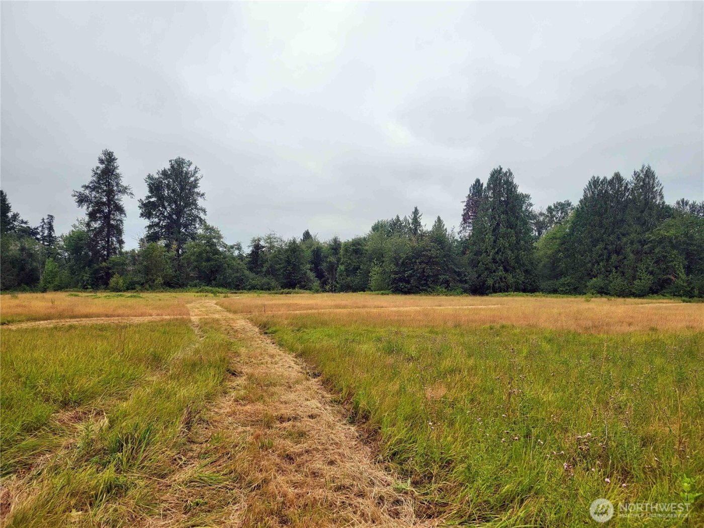 0 Evans Road , Toledo, WA 98591