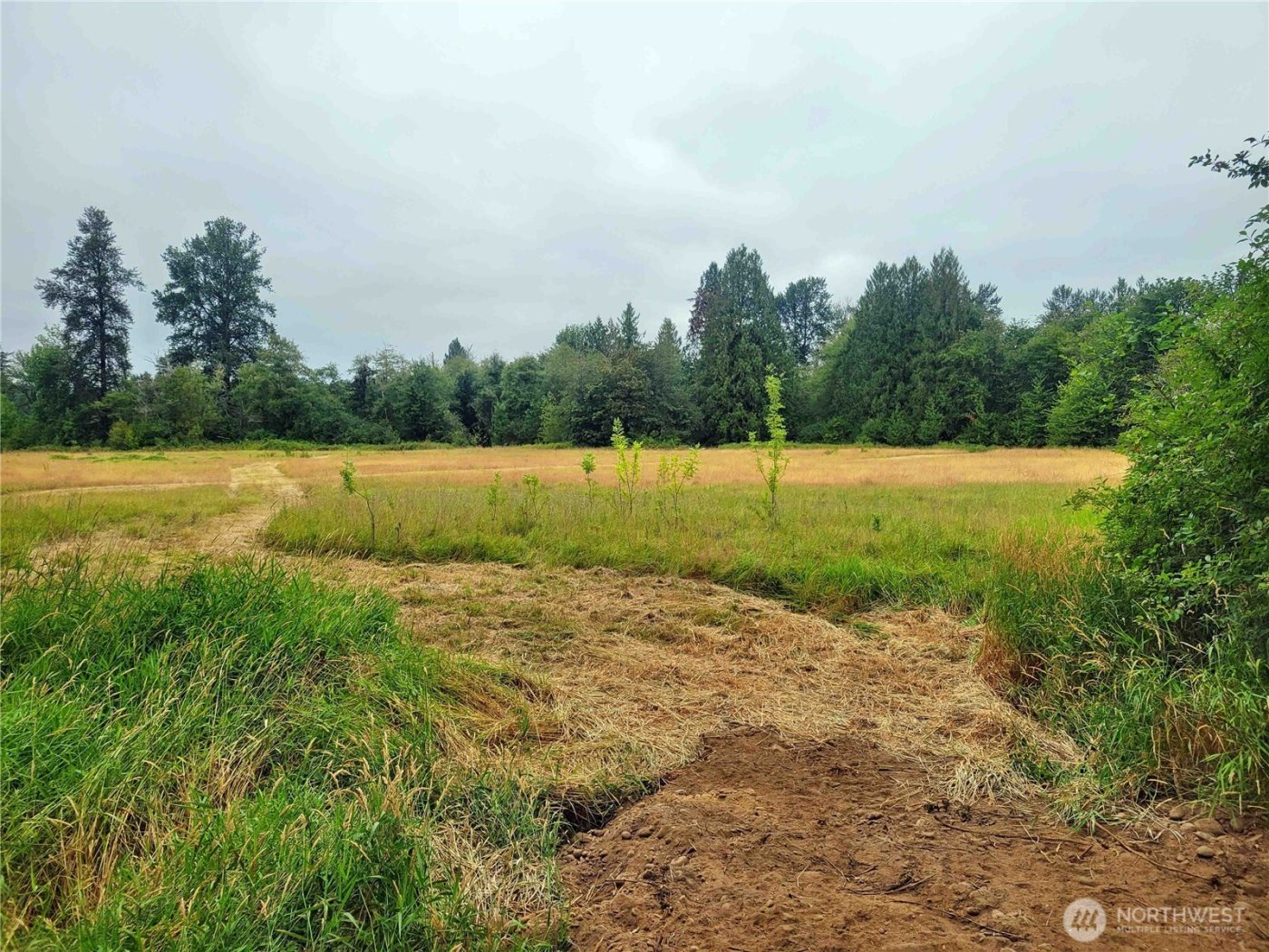 0 Evans Road , Toledo, WA 98591