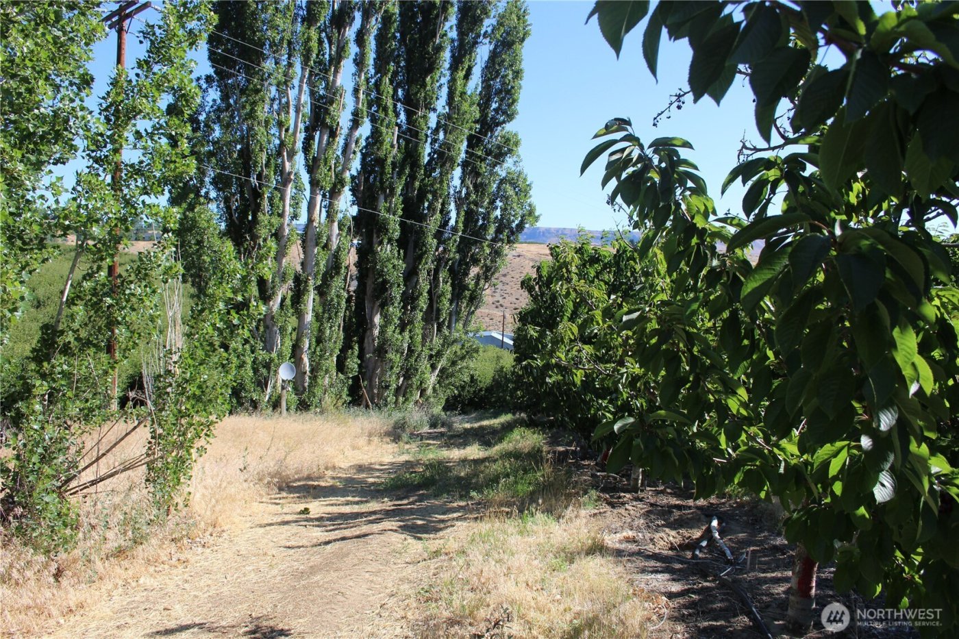 0 Leray Ranch Road , East Wenatchee, WA 98802