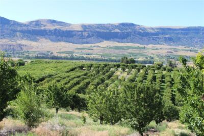 0 Leray Ranch Road , East Wenatchee, WA 98802 - Photo 18