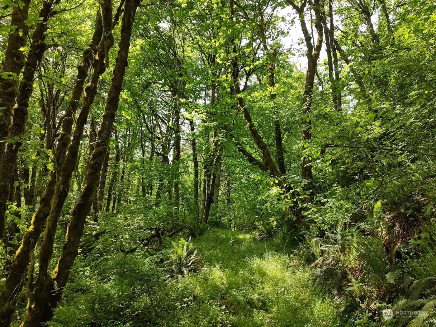 5819 NE 295th Street , La Center, WA 98629