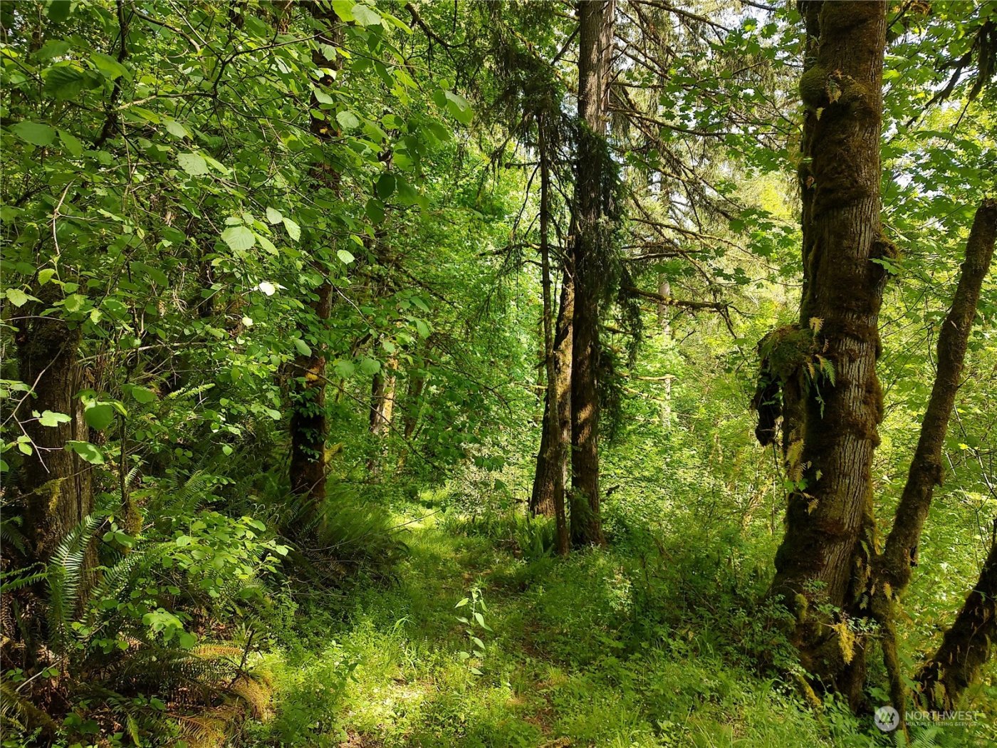 5819 NE 295th Street , La Center, WA 98629