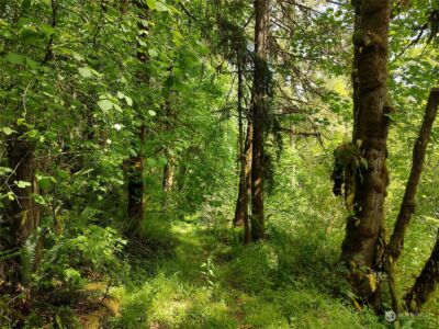 5819 NE 295th Street , La Center, WA 98629 - Photo 5