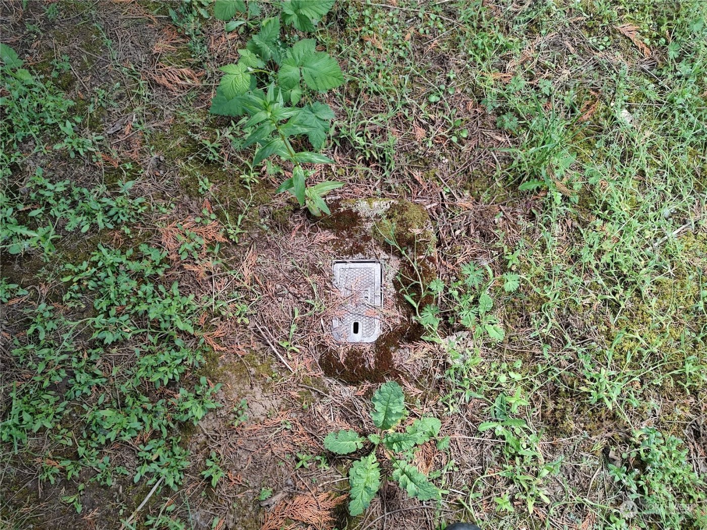 5819 NE 295th Street , La Center, WA 98629