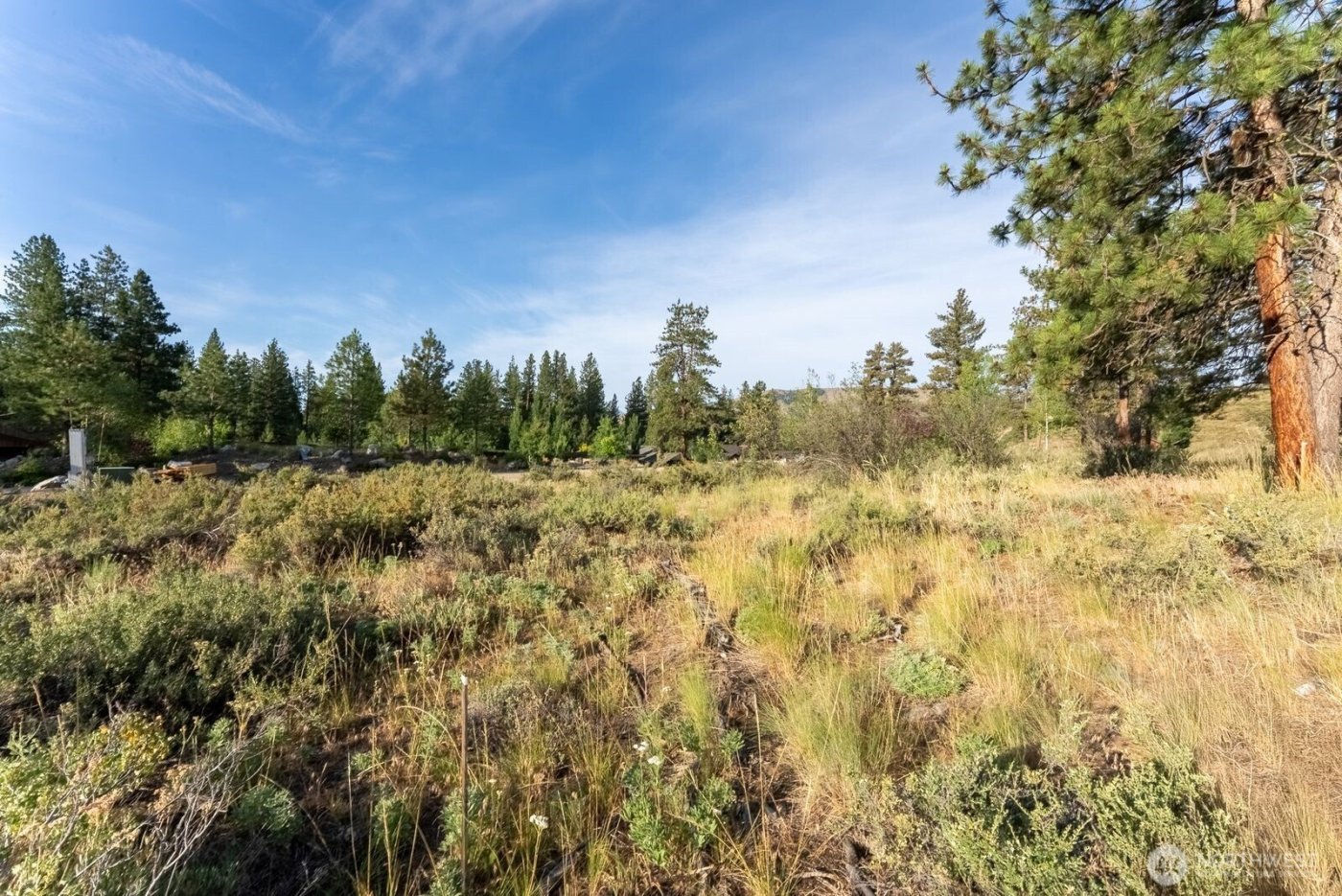 615 Pine Loop , Winthrop, WA 98862