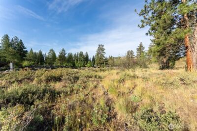 615 Pine Loop , Winthrop, WA 98862