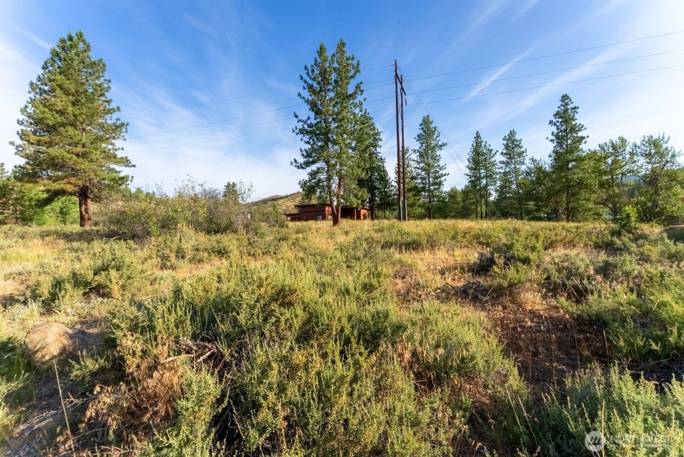 615 Pine Loop , Winthrop, WA 98862