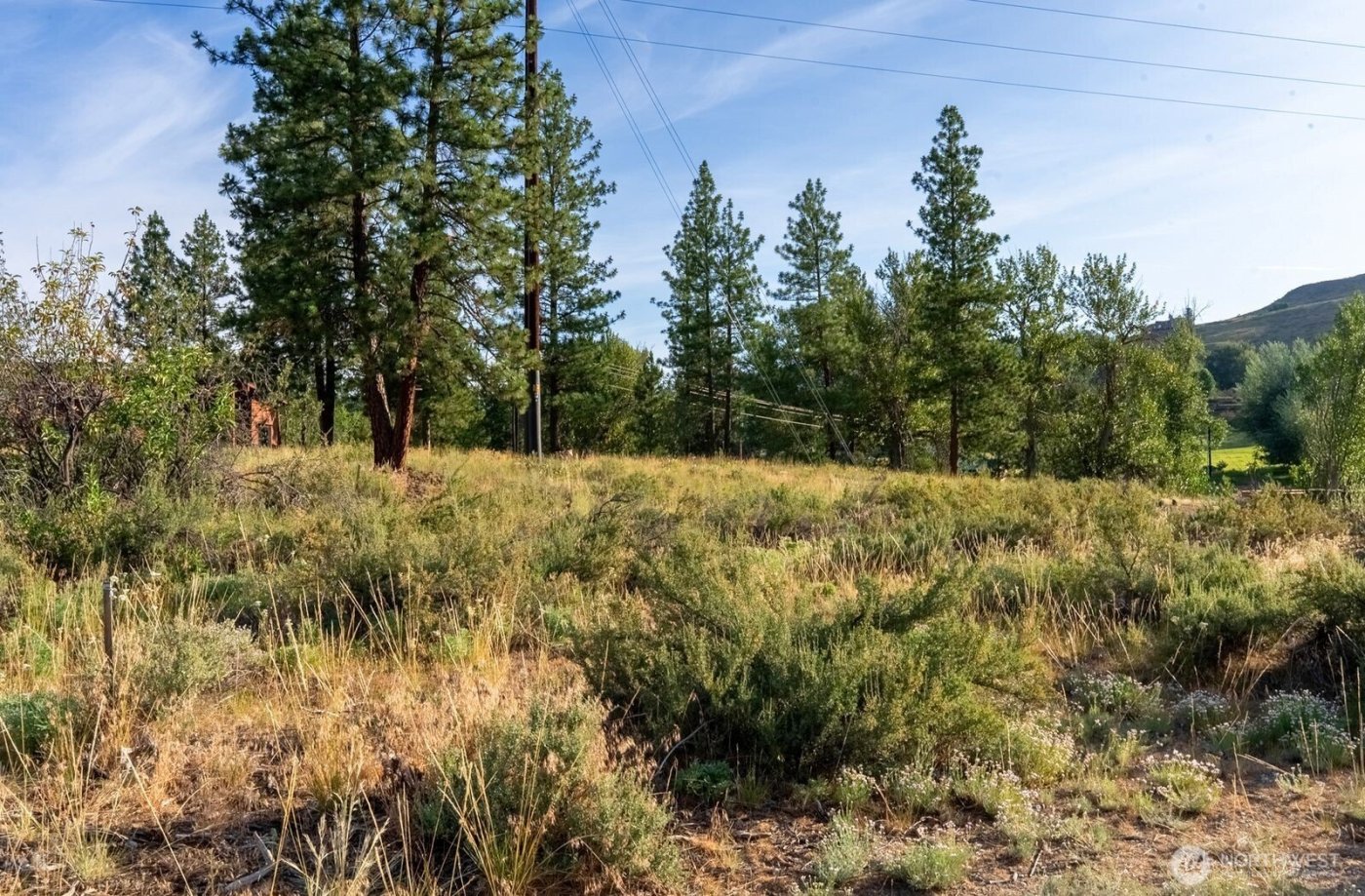 615 Pine Loop , Winthrop, WA 98862