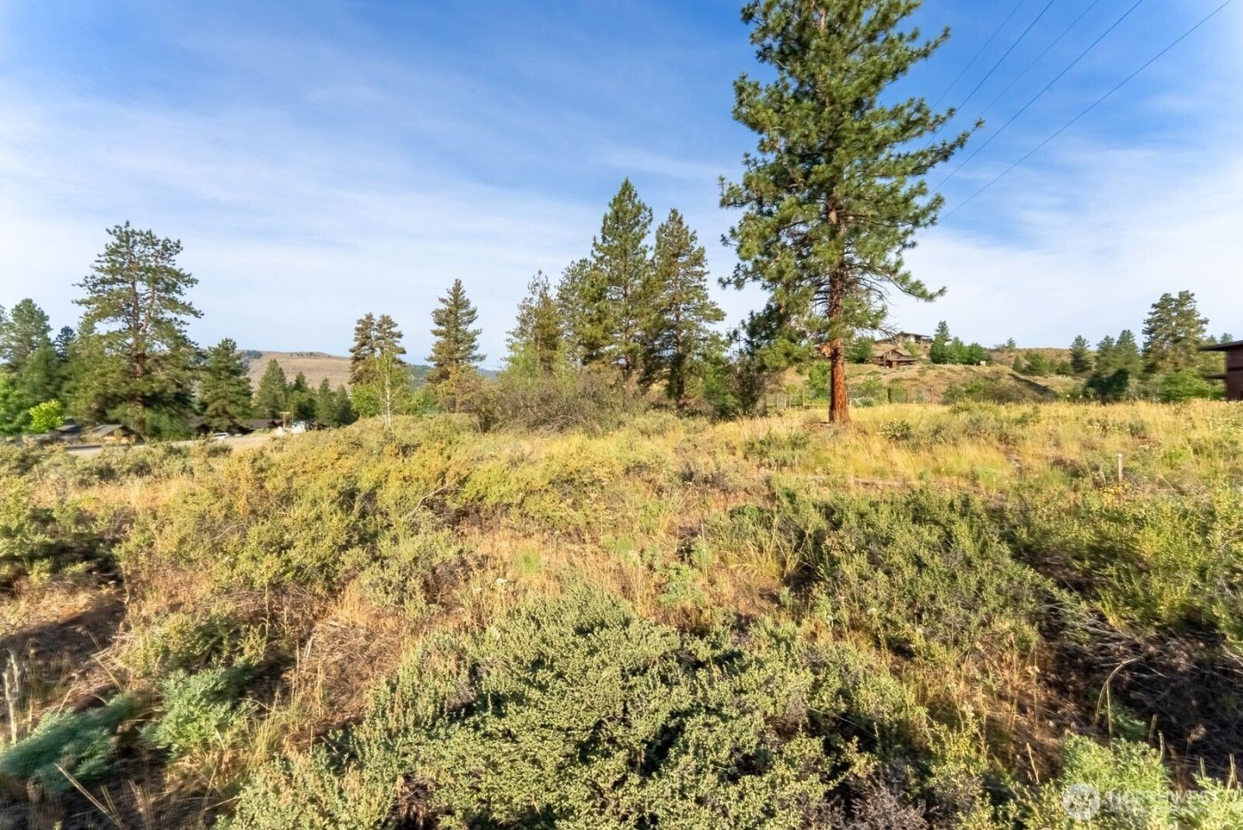 615 Pine Loop , Winthrop, WA 98862