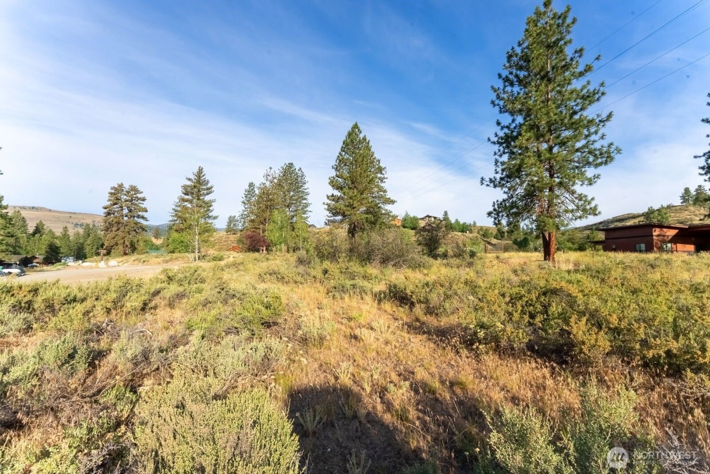 615 Pine Loop , Winthrop, WA 98862