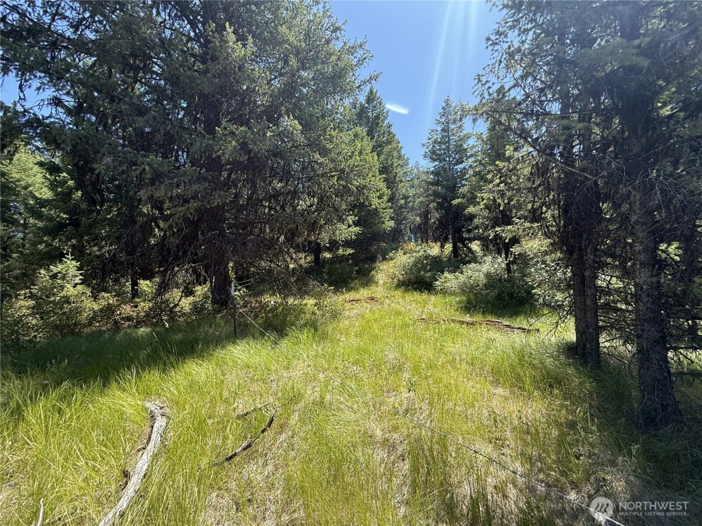 135 Slippery Hill Lane , Republic, WA 99166