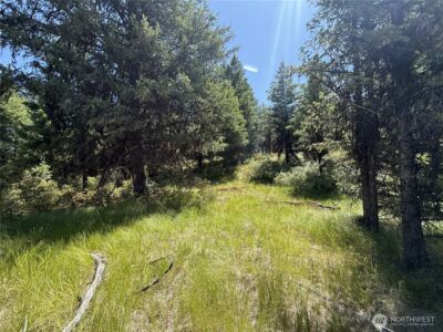 135 Slippery Hill Lane , Republic, WA 99166