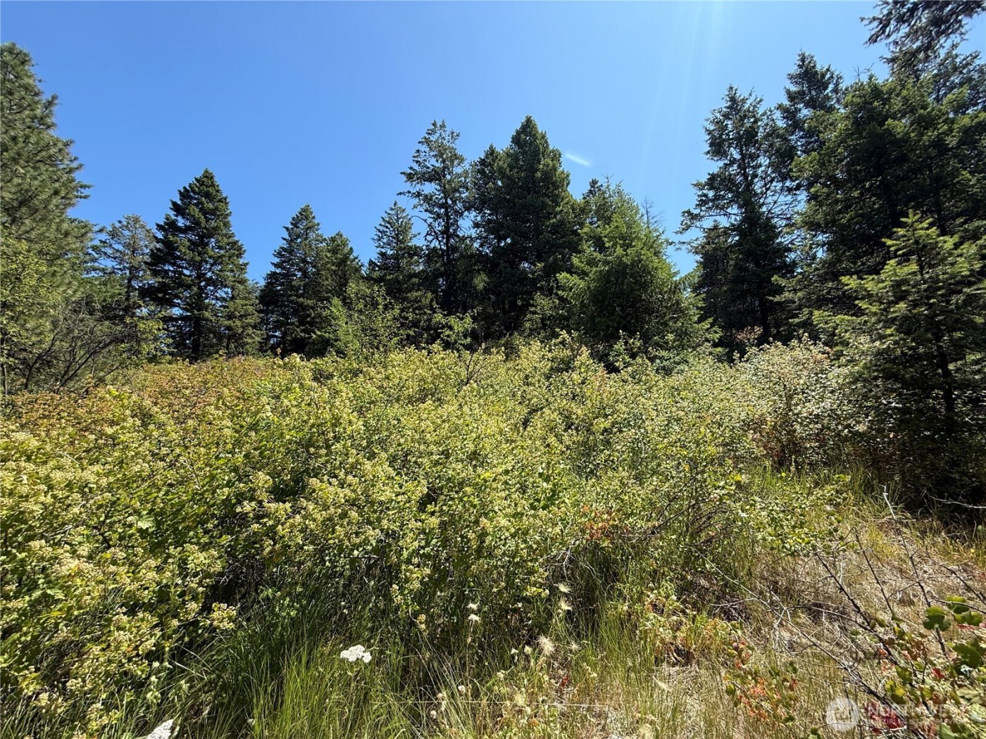 135 Slippery Hill Lane , Republic, WA 99166