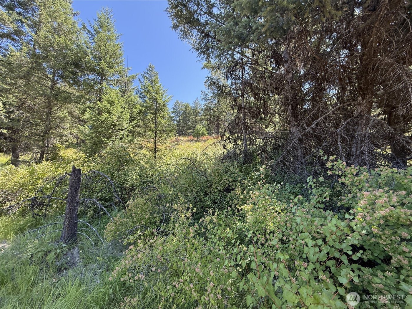 135 Slippery Hill Lane , Republic, WA 99166