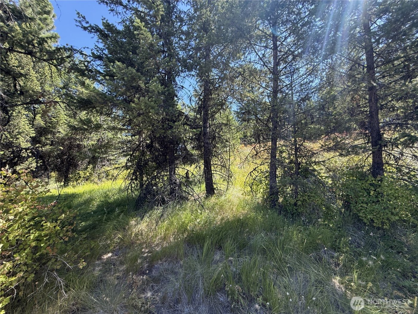 135 Slippery Hill Lane , Republic, WA 99166