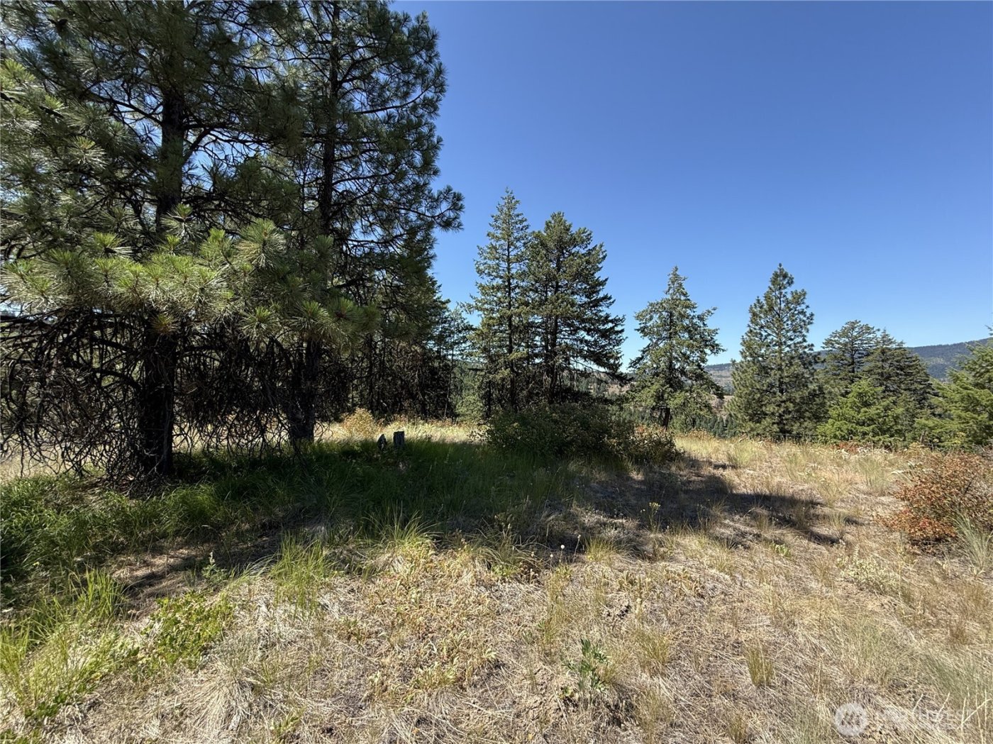 135 Slippery Hill Lane , Republic, WA 99166