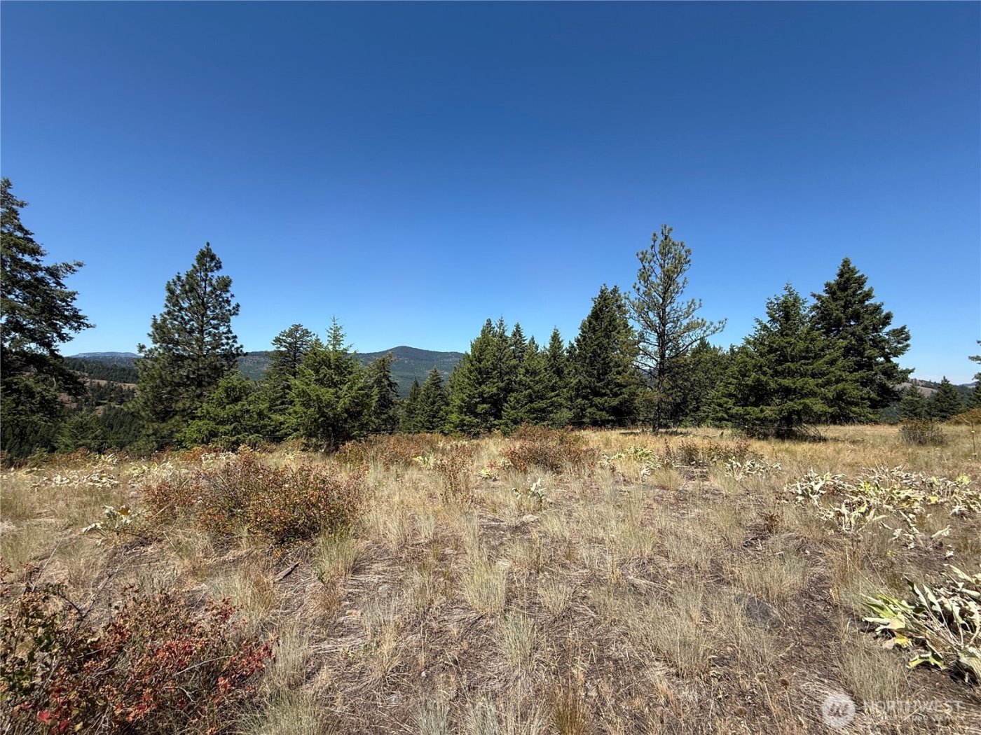 135 Slippery Hill Lane , Republic, WA 99166