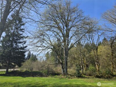 34249 21st Avenue SW, Federal Way, WA 98023 - Photo 14
