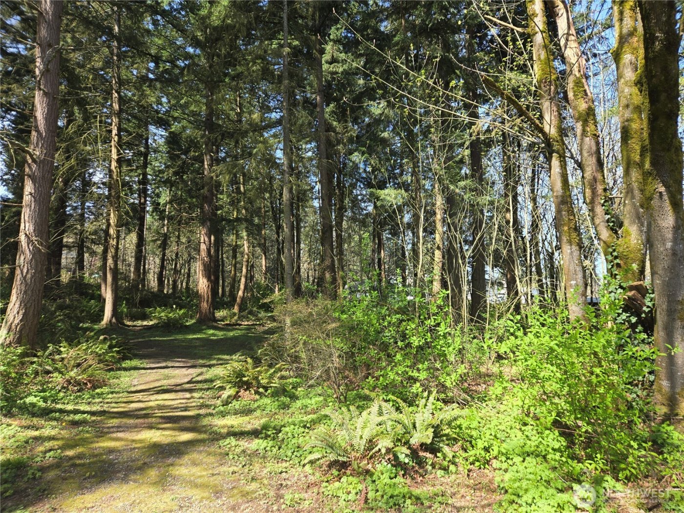 34249 21st Avenue SW, Federal Way, WA 98023