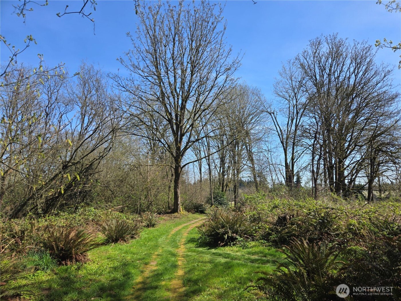 34249 21st Avenue SW, Federal Way, WA 98023